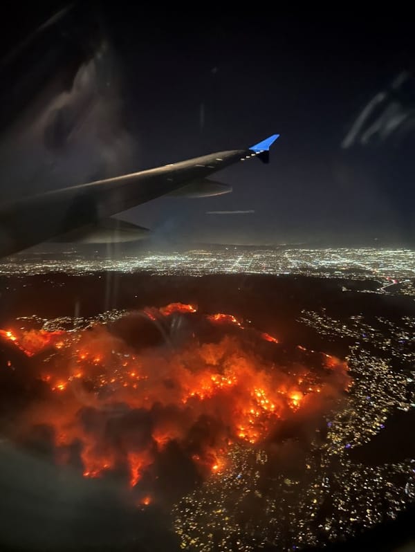 Inferno in the City of Angels: Examining the Impact of the Los Angeles Fires