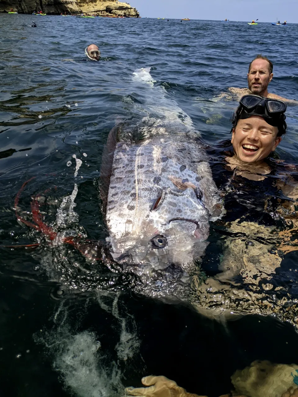 Rare "Doomsday Fish" Found in Southern California